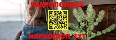 индика Северобайкальск