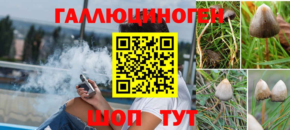 Псилоцибиновые грибы ЛСД  Вход с VPN  Орск  Галлюциногенные грибы Psilocybine cubensis 