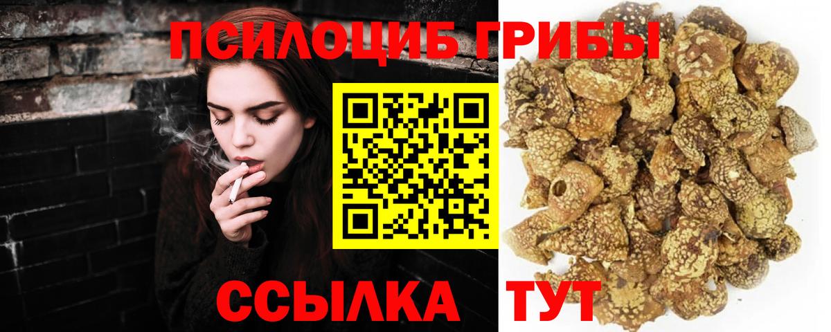 Галлюциногенные грибы прущие грибы Орск